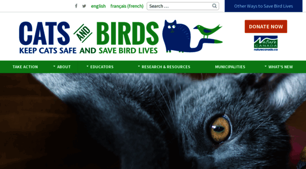 catsandbirds.ca