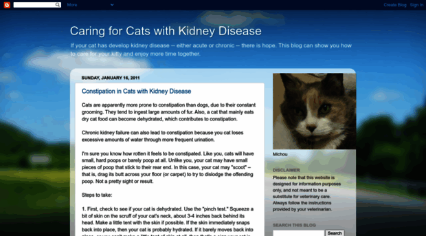 catsandkidneyproblems.blogspot.com