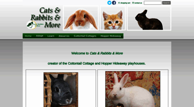 catsandrabbitsandmore.com