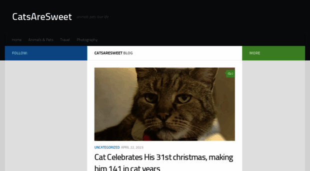 catsaresweet.com