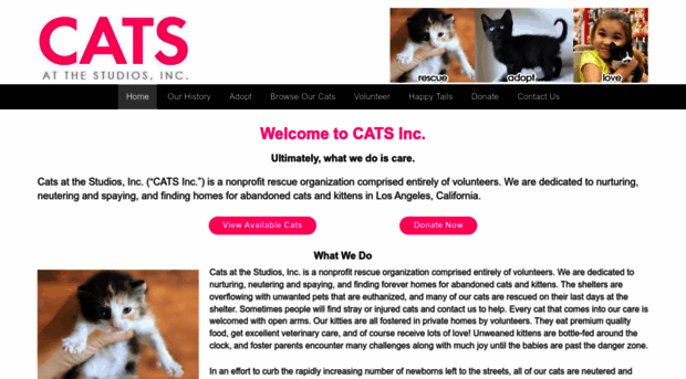 catsatthestudios.com