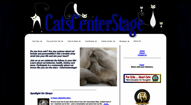 catscenterstage.com