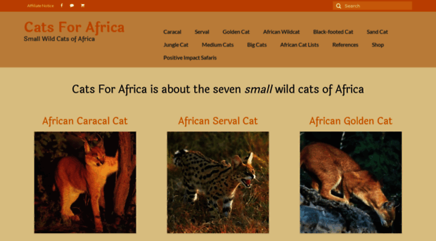 catsforafrica.co.za