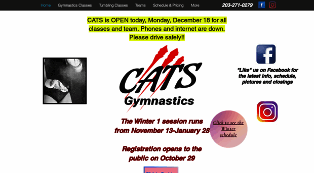 catsgymnastics.net