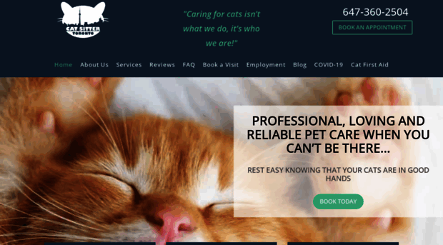 catsittertoronto.ca