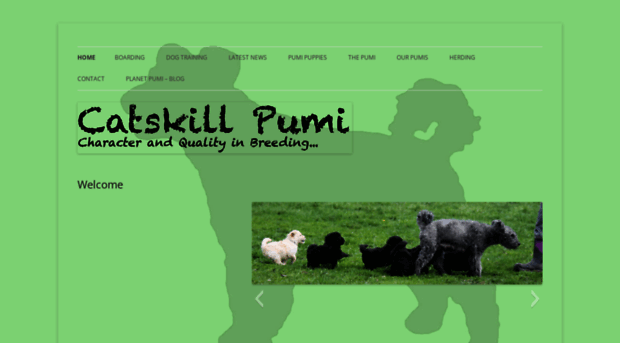 catskillpumi.com