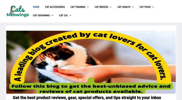 catsmeowings.com