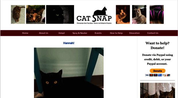 catsnap.org