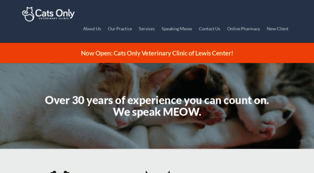 catsonlyvc.com