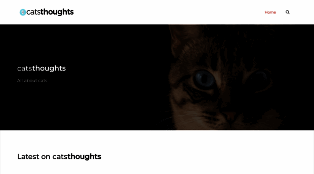 catsthoughts.com