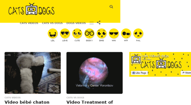 catsvideosdogs.com