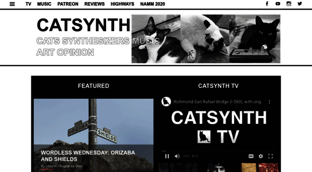 catsynth.com