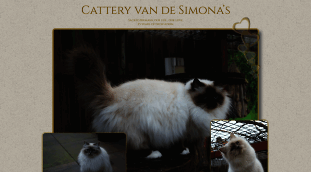 catteryvandesimonas.nl