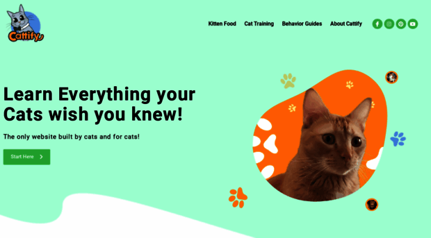 cattify.net