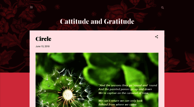 cattitudeandgratitude.blogspot.ca