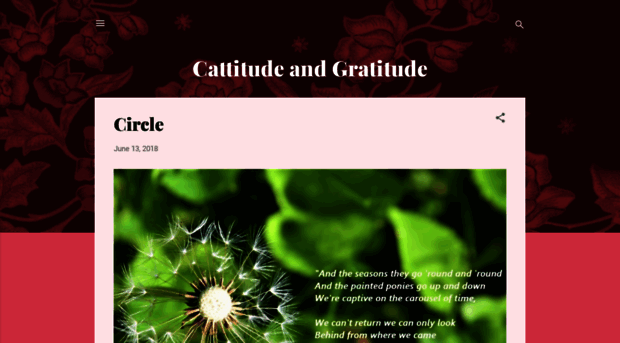 cattitudeandgratitude.blogspot.com