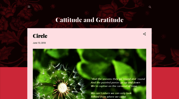 cattitudeandgratitude.blogspot.in
