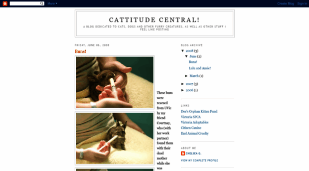 cattitudecentral.blogspot.com