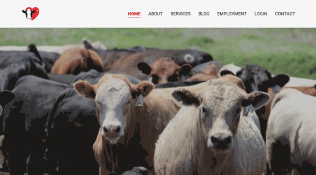 cattle-empire.net