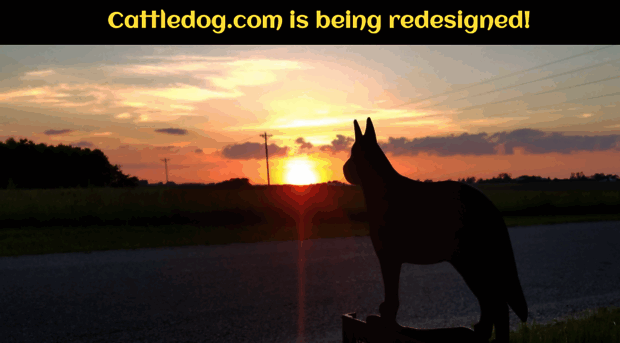 cattledog.com