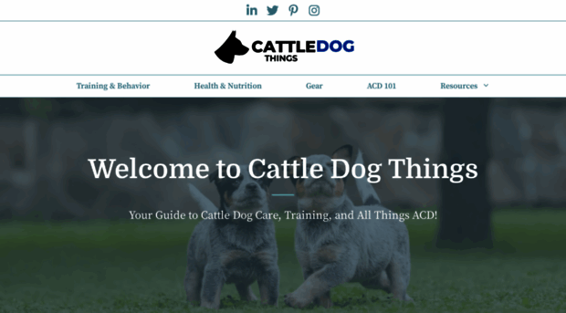 cattledogthings.com