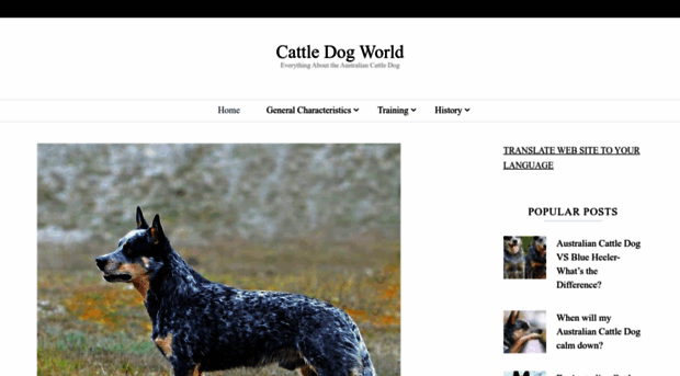 cattledogworld.com