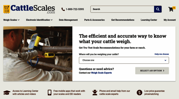 cattlescales.com