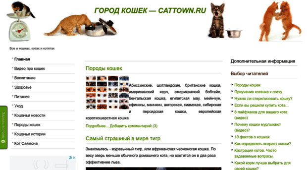 cattown.ru