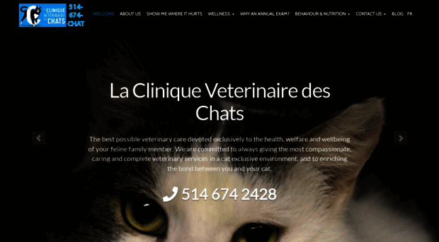 catvet.ca