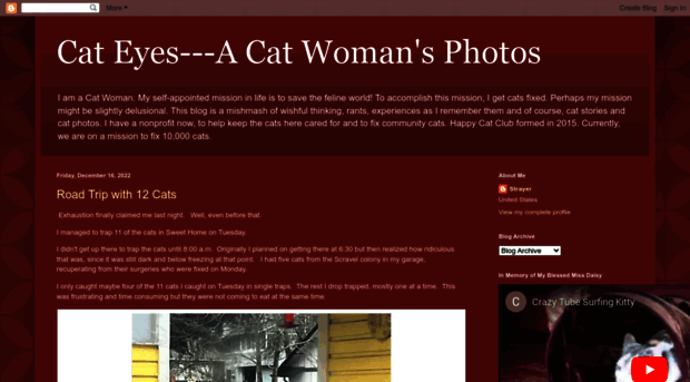 catwomanflix.blogspot.com