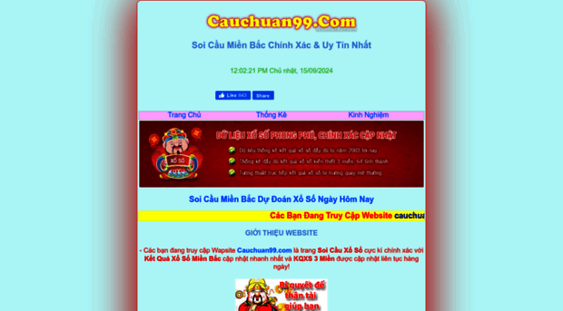 cauchuan99.com