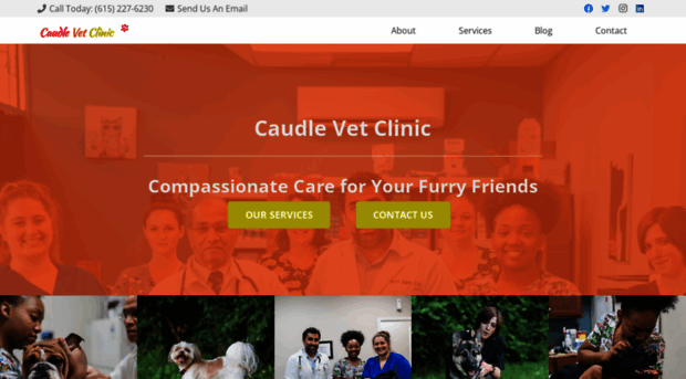 caudlevetclinic.com