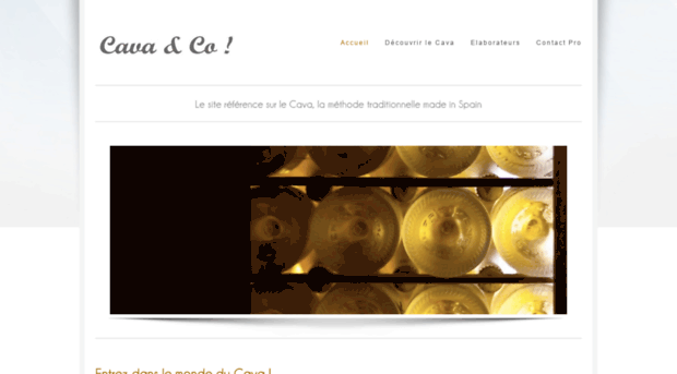 cava-and-co.com