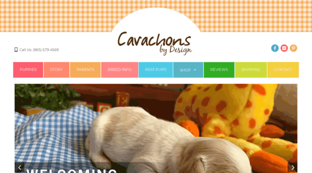 cavachonsbydesign.com