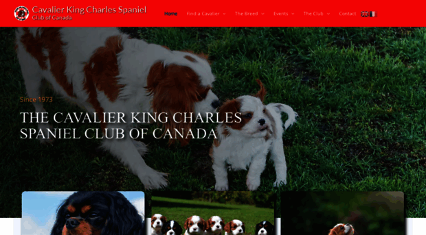 cavaliercanada.com