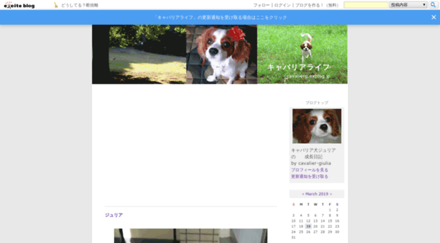 cavalierg.exblog.jp