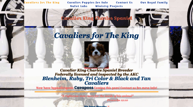 cavaliersfortheking.com