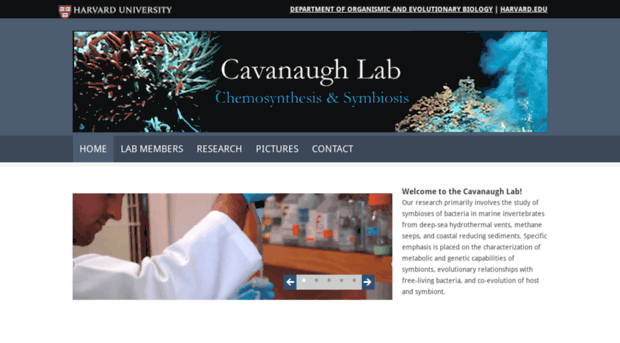 cavanaughlab.oeb.harvard.edu