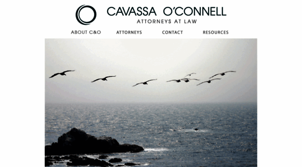 cavassaoconnell.com