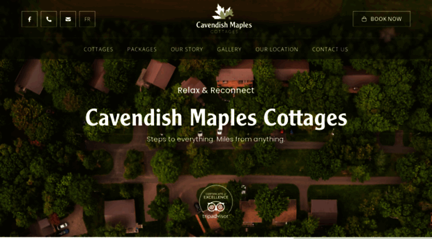 cavendishmaples.com