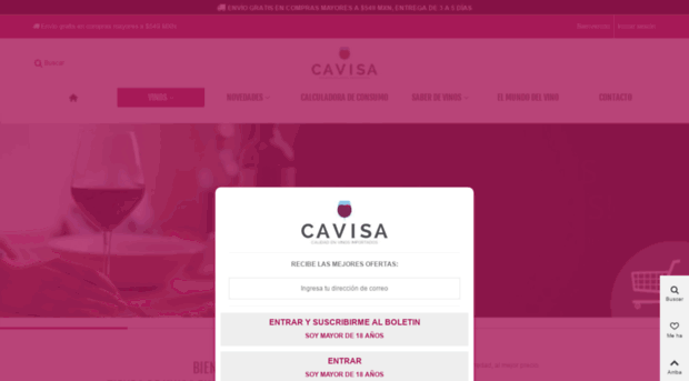 cavisa.com.mx