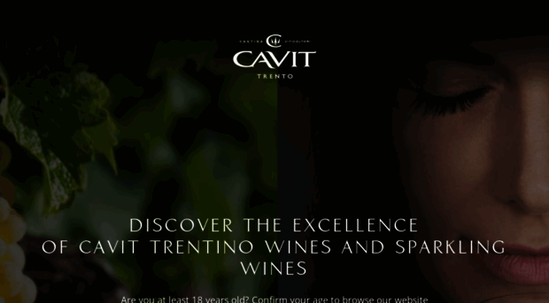 cavit.it