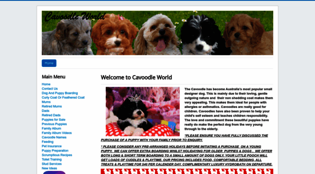 cavoodleworld.com.au