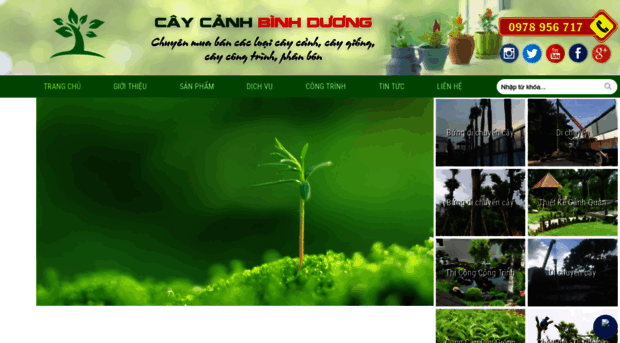 caycanhbinhduong.com