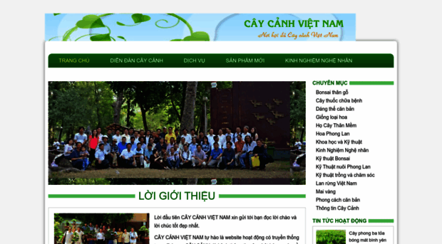 caycanhvietnam.com