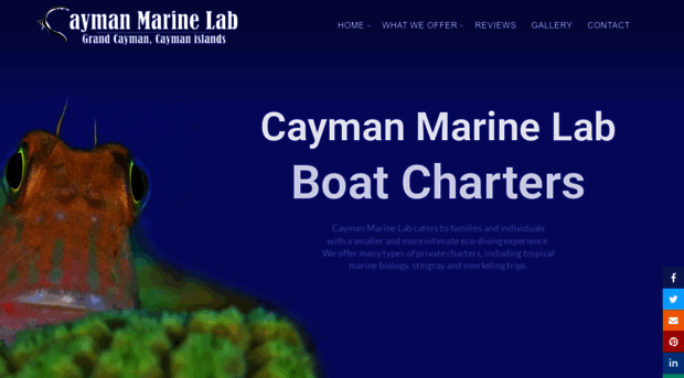 caymanmarinelab.com