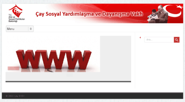 caysydv.org