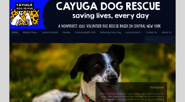 cayugadogrescue.org