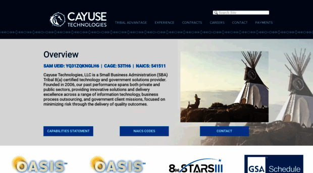 cayusetechnologies.com