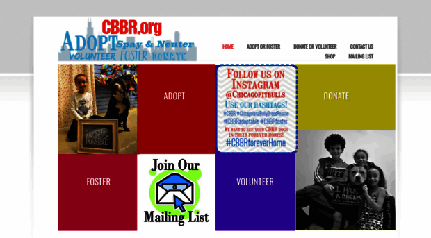 cbbr.org